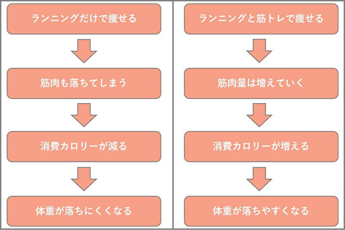腹回りの皮下脂肪は 筋トレ 有酸素運動 で落とす 自宅筋トレメニューと食事方法を解説 Ufit