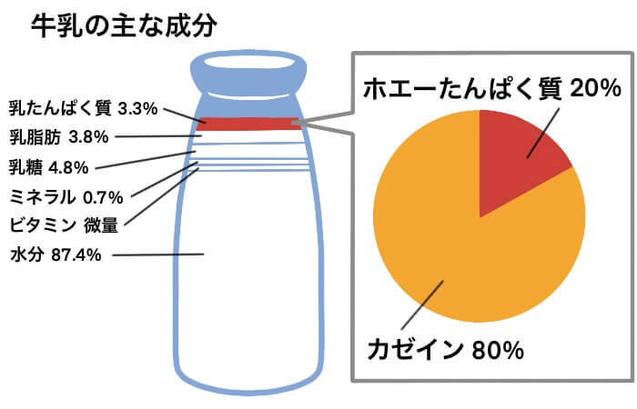 牛乳は筋トレに効果的？プロテインは牛乳と水どっちがいいの？管理栄養士が解説 | uFit