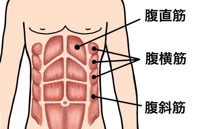 腹筋は毎日鍛えてok 効果的に腹筋を鍛えるポイントやスケジュールも紹介 Ufit