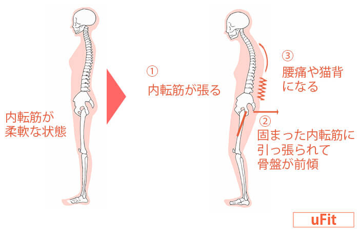 内ももを伸ばす 内転筋ストレッチ 7選 太もも痩せ O脚改善効果も Ufit