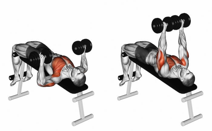デクラインダンベルプレスの効果的なやり方 重量設定や大胸筋下部に効かせるコツを紹介 Ufit