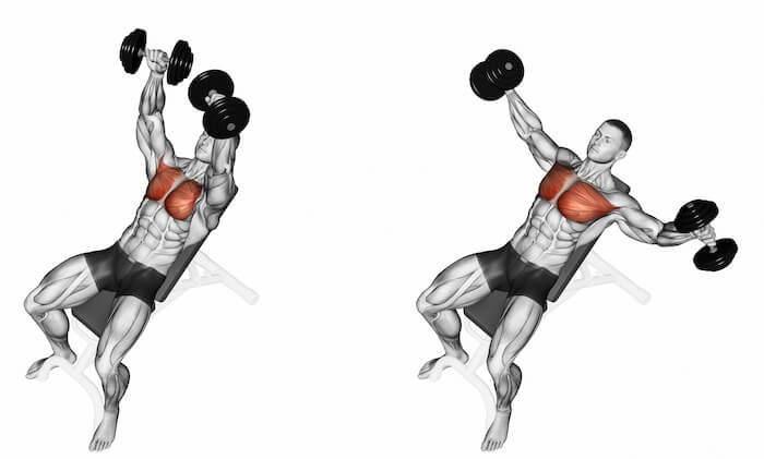 大胸筋に効かせる ダンベルフライ のやり方 効果を高めるコツや重量 回数設定の方法も紹介 Ufit