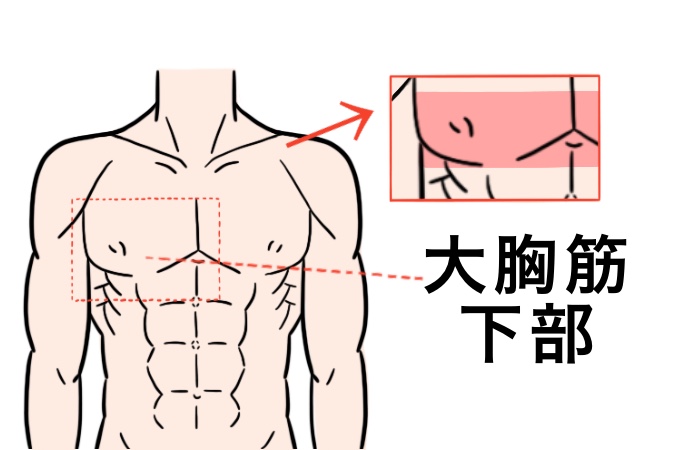 胸筋下部を効果的に鍛える筋トレ10選 自宅 ジムで大胸筋下部を発達させる方法を紹介 Ufit