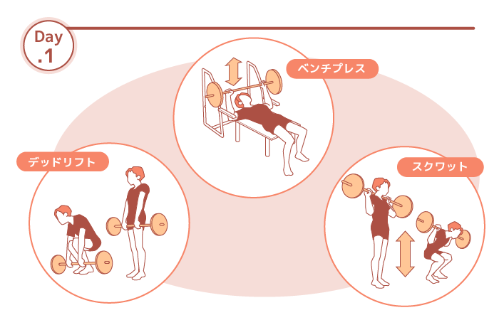 細マッチョになる筋トレ1週間スケジュール 効率よく筋肉をつける食事方法も紹介 Ufit